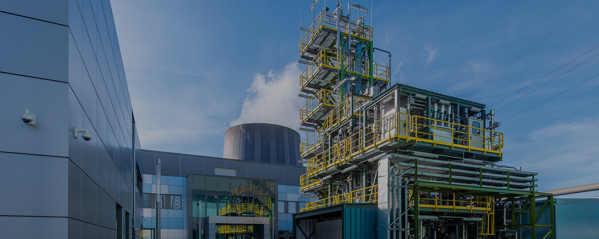 多乐的捕鱼游戏